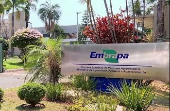 Concurso Embrapa