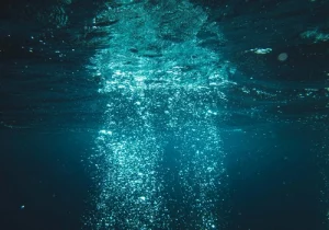 Criatura marinha descoberta nas profundezas surpreende a todos